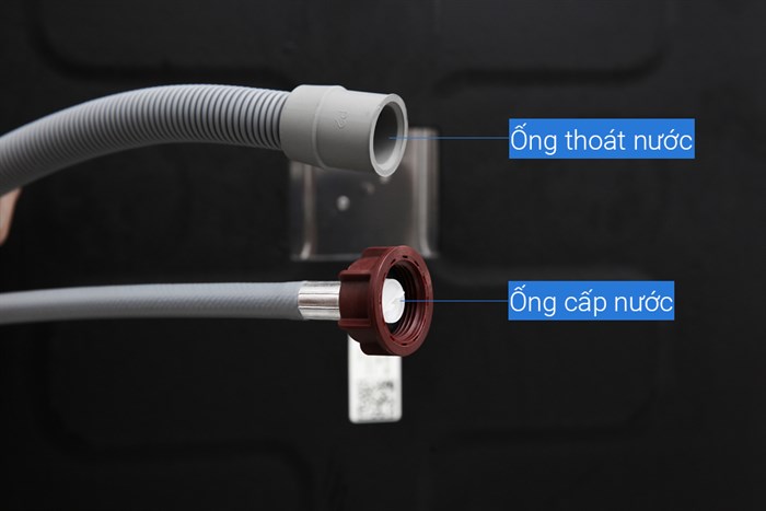 may-rua-chen-electrolux-esf5206low-10-700x467